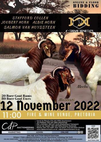 XTREME AUCTION