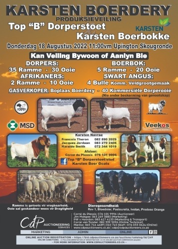 KARSTEN TOP B DORPER VEILING 