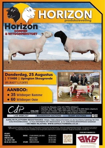 HORIZON DORPER & WITDORPERSTOET PRODUKIEVEILING