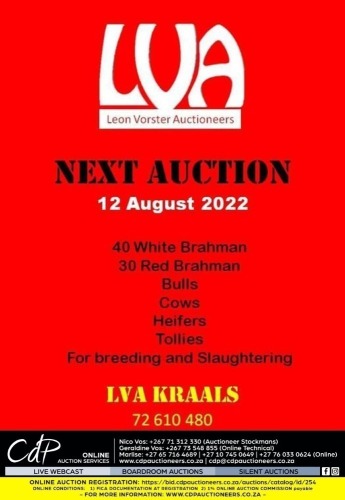 LEON VORSTER AUCTIONEERS AUCTION -LVA KRAALS, BOTSWANA