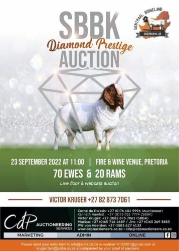 SBBK DIAMOND PRESTIGE AUCTION