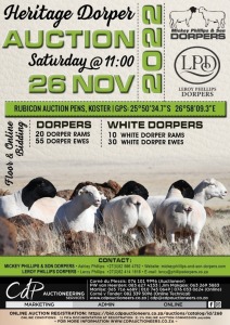 HERITAGE DORPER AUCTION 