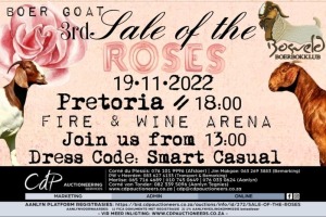 SALE OF THE ROSES