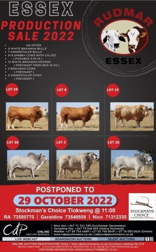 ESSEX PRODUCTION SALE