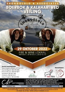 SHONGOLOLO & ASSOCIATES BOER GOAT & KALAHARI RED AUCTION