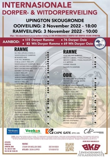 INTERNASIONALE DORPER & WIT DORPER VEILING - UPINGTON