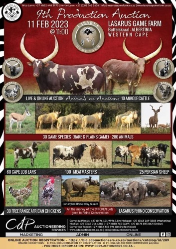 LASARUS GAME FARM 9TH PRODUCTION AUCTION - ALBERTINA
