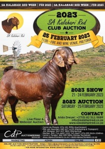 SA KALAHARI RED CLUB AUCTION