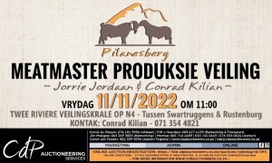 PILANESBERG MEATMASTER PRODUKSIEVEILING