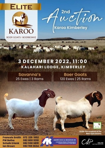 KAROO BOER GOAT 2nd ELITE AUCTION