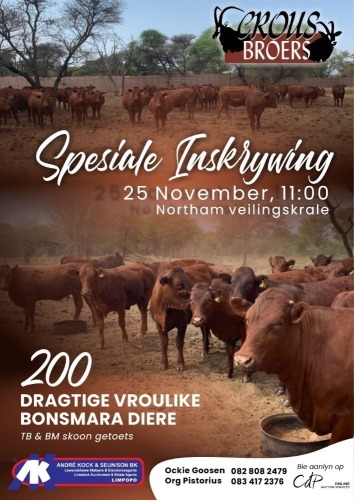 CROUS BROERS BONSMARA VEILING - NORTHAM