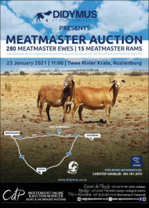 Didymus Meatmaster Auction