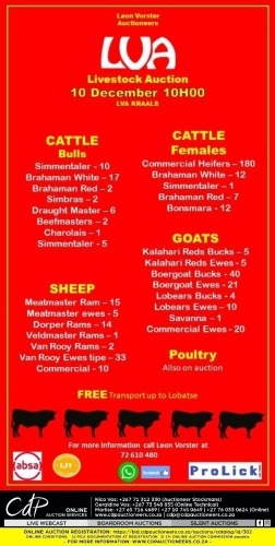 LVA LIVESTOCK AUCTION - BOTSWANA 