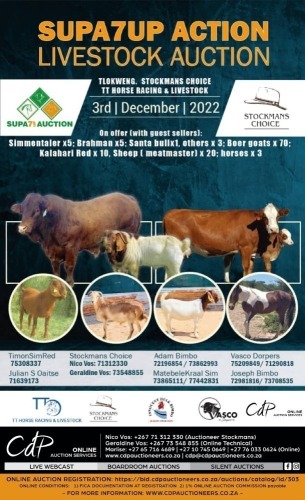  SUPA7UP ACTION LIVESTOCK AUCTION - BOTSWANA 