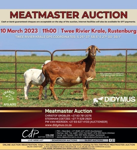 DIDYMUS MEATMASTER AUCTION