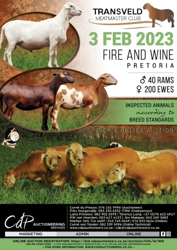 TRANSVELD MEATMASTER CLUB AUCTION