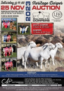 HERITAGE DORPER AUCTION 