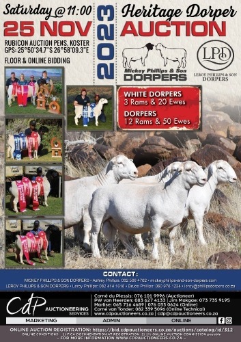 HERITAGE DORPER AUCTION 