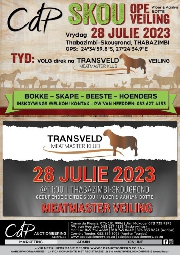 TRANSVELD MEATMASTER CLUB AUCTION & CDP OPEN AUCTION- THABAZIMBI