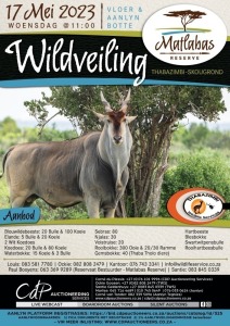 THABAZIMBI WILDLIFE SERVICES WILDVEILING