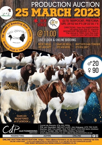QUATTRO BOER GOAT AUCTION