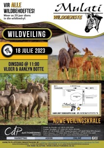 MULATI WILDDIENSTE - WILDVEILING