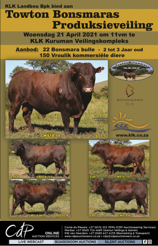 Towton Bonsmaras Produksieveiling