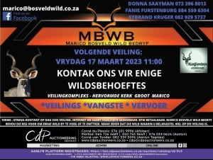 MBWB - WILDVEILING - Groot Marico