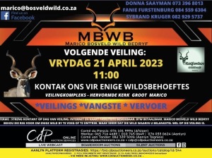 MBWB - WILDVEILING - Groot Marico