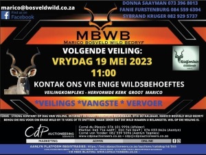 MBWB - WILDVEILING - Groot Marico