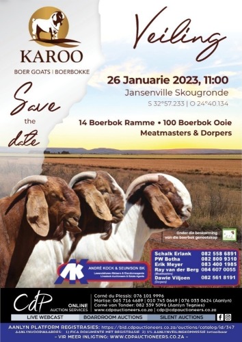 KAROO BOER GOAT AUCTION - JANSENVILLE