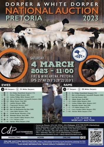 NATIONAL DORPER & WHITE DORPER AUCTION