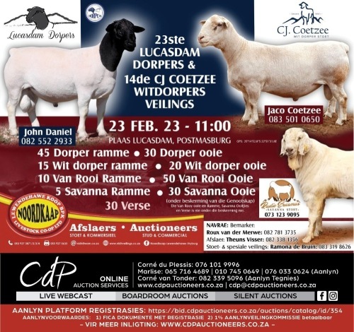 LUCASDAM & CJ COETZEE DORPERVEILING - POSTMASBURG
