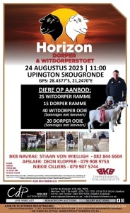 HORIZON DORPER & WITDORPERSTOET