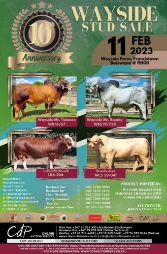 WAYSIDE STUD SALE - 10th ANNIVERSARY - FRANCISTOWN, BOTSWANA 