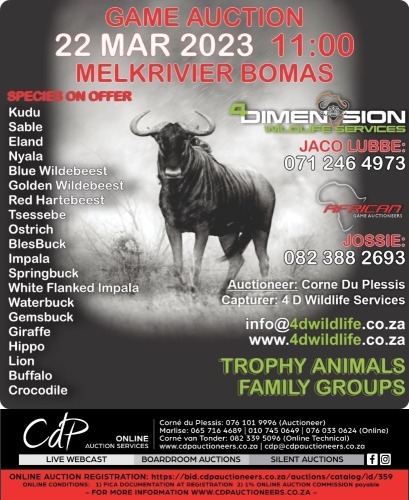 GAME AUCTION - EVENTIERA MELKRIVIER BOMAS
