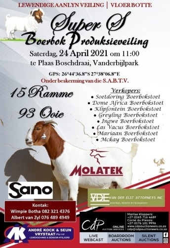 Super S Boerbok Produksieveiling