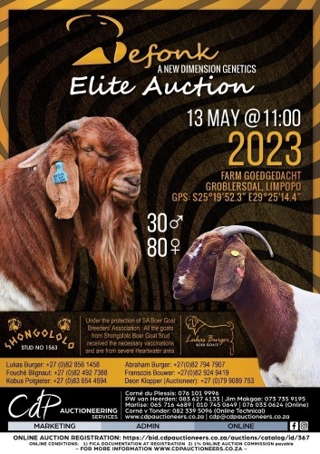 BEFONK ELITE AUCTION - GROBLERSDAL