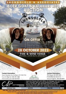 SHONGOLOLO & ASSOCIATES BOER GOAT & KALAHARI RED AUCTION