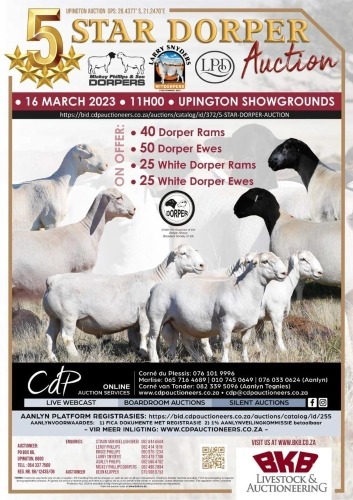 5 STAR DORPER AUCTION