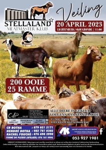 STELLALAND MEATMASTER CLUB AUCTION