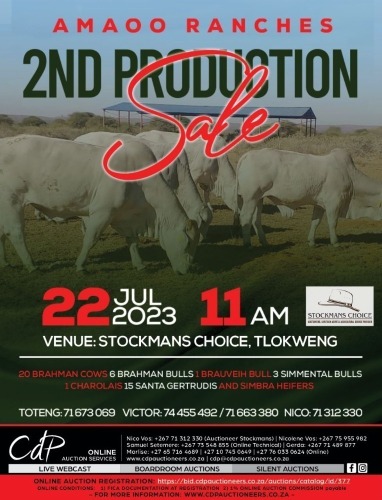 AMOO AUCTION BOTSWANA