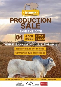 LETSWERE PRODUCTION SALE BOTSWANA