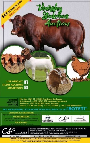 VOORSLAG AUCTION, LETLHAKANE,BOTSWANA