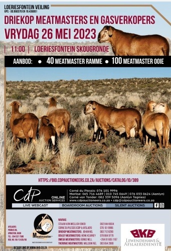 3-KOP MEATMASTER VEILING