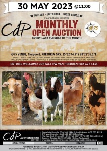 CDP COMMERCIAL AUCTION @75 Pretoria