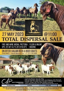 WELLEABI STUD TOTAL DISPERSAL SALE