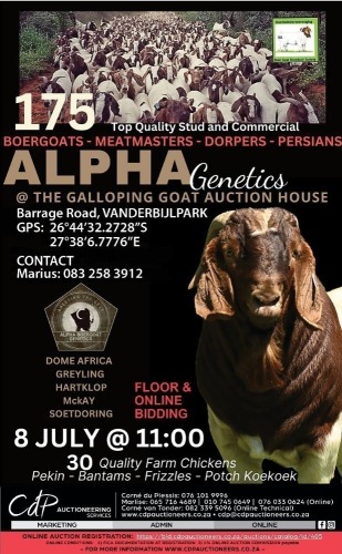 ALPHA GENETICS AUCTION