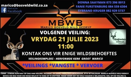 MBWB - WILDVEILING - Groot Marico