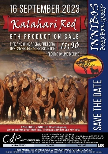 INNIBOS BREEDING GROUP - KALAHARI RED AUCTION